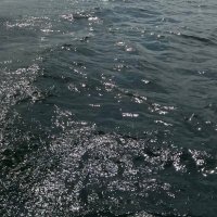 Albert Herman (@herman_alb58587) 's Twitter Profile