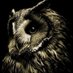 Wise Ass Owl (@ByOldguy) Twitter profile photo