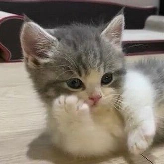 heeyo__'s profile picture. 느리게 흘러가는 이직준비생의 일기..