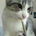 felino.canabbis (@emofavelada) Twitter profile photo felino.canabbis (@emofavelada) Twitter profile photo