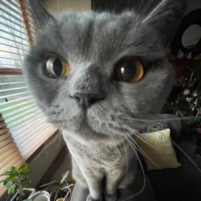 notjm0n3y's profile picture. 🗑️⭐️crazy @jazmtv