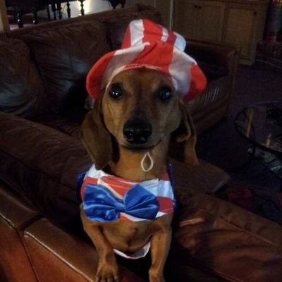 CieslakJack's profile picture. Dad, Husband, Coach, Educator, Live music fan.