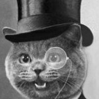 fancy_cat_200x200.jpg