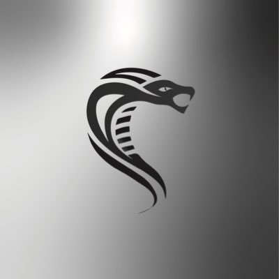 cobra2VIP Profile Picture