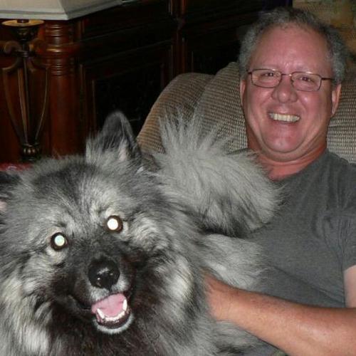 rsullivan2255's profile picture. Information Technology Professional - Senior