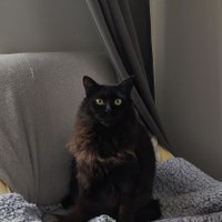 invectiv (@invctv) 's Twitter Profile
