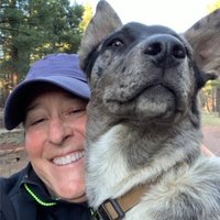 🇺🇸 PAZ Phillips (@pphillipsaz) 's Twitter Profile