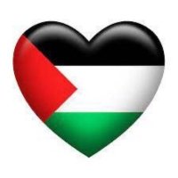 Steve Dotwood 🇵🇸(@mutealbino) 's Twitter Profile Photo