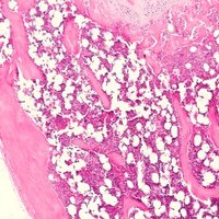 Rosen_Lab (@rosen_lab) 's Twitter Profile