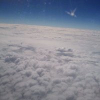 Y (@mo_chuan83420) 's Twitter Profile