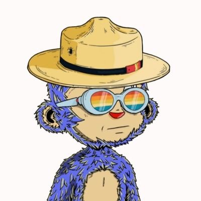 MiriBahman's profile picture. crypto researcher