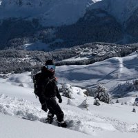Fabio (@fabiotomaschett) 's Twitter Profile