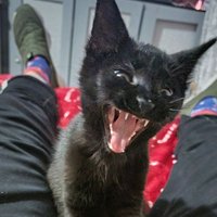 Pj palmer 💙💛 (@newell007) 's Twitter Profile Photo