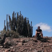 Bãlensiã 🌵 (@reppli_ca) 's Twitter Profile Photo Bãlensiã 🌵 (@reppli_ca) 's Twitter Profile Photo