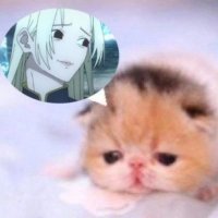 артмашина (@vah_arina) 's Twitter Profile Photo артмашина (@vah_arina) 's Twitter Profile Photo