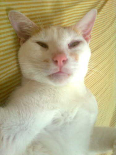 m4r14v1ct0r14's profile picture. 