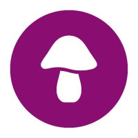 shroomworks (@theshroomworks) 's Twitter Profile