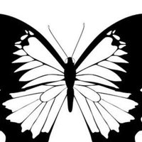 Ray Of Hope (@babadieumerci) 's Twitter Profile Photo Ray Of Hope (@babadieumerci) 's Twitter Profile Photo