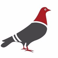 Jaeden Stanton (@jstanton42908) 's Twitter Profile