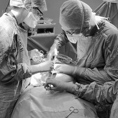 Emergency Abdominal Surgery Course Profile