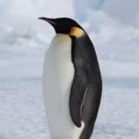 Mariano Lehner (@lehner_mar91407) 's Twitter Profile
