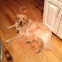 eileen armstrong - @lennonbailey - Twitter