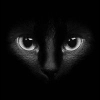 Aliyah Gusikowski (@gusikowski60662) Twitter profile photo