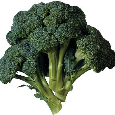 broccoliexit's profile picture. 
