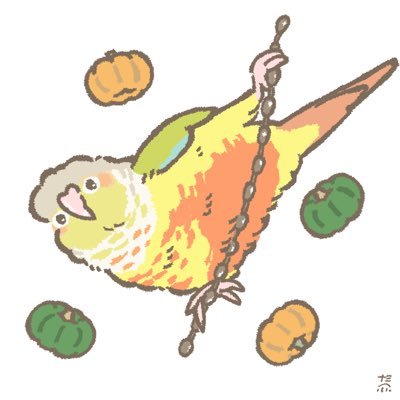 無言フォロー失礼します ウロコインコのカボチャ（🎂2022.5頃）と生活しています インコが趣味でほぼインコの投稿します カボチャの可愛い姿を見てほしいです😊 何より鳥を愛してます！！（チリとモモヒキ最高💕）