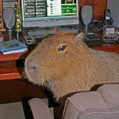 wolandstoner's profile picture. 