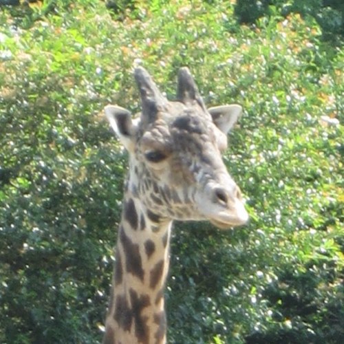 darrellcrate's profile picture. 