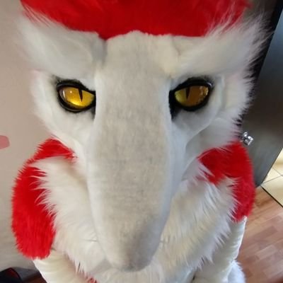 250g of Cheese 🔜 CONFUROR 2024 Profile