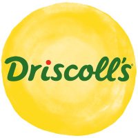 Driscoll's Berries(@driscollsberry) 's Twitter Profileg