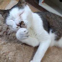 虫けら君😎 (@gbd2s0b8mx11147) 's Twitter Profile