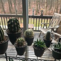 Steven Charney (@gr8guy05092) 's Twitter Profile