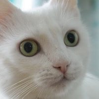 tammai.. (@bugsubparod) 's Twitter Profile
