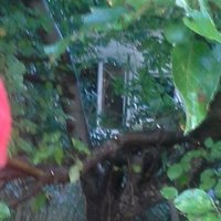 Cassie Crist (@cassie_cri14619) 's Twitter Profile
