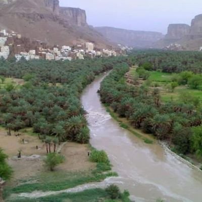 BagIbrahee70606's profile picture. 