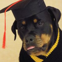 Haskell Schroeder (@haskellsch27209) 's Twitter Profile
