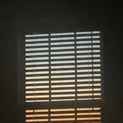 idiot_barchart's profile picture. king of the chutes and ladders