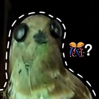 Perry Schaefer (@schaeferpe24609) 's Twitter Profile