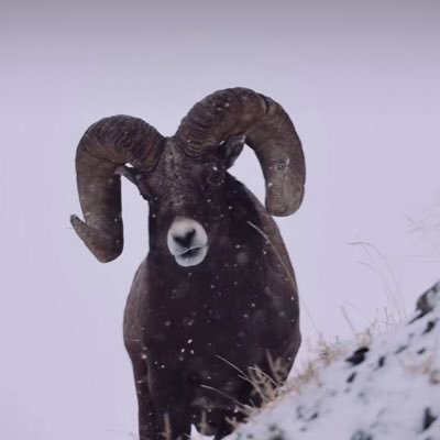 Michael39121178's profile picture. I am who I am