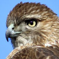Waylon Bayer-Dooley (@bayerdoole27351) 's Twitter Profile
