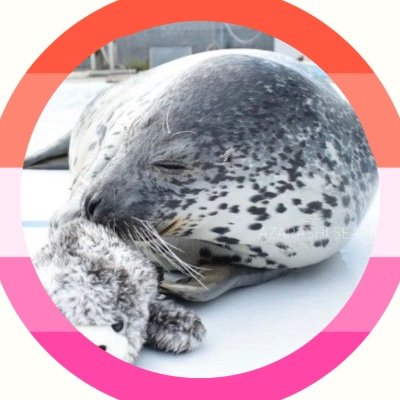 minor
cis lesbian 👩‍❤️‍💋‍👩
seal lover 🦭
bubby kyoro’s mummy :3
My favourite seals are: Kyoro, Biku, Macaroni, Meme, shinobu and takuma ❤️