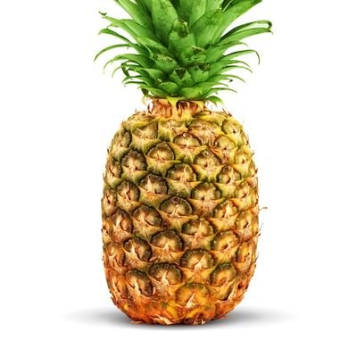 hey there I am the pineapple
no I'm not the pineapple SpongeBob lives in
my gender is a pineapple