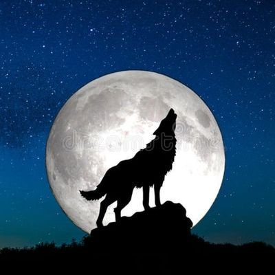 ColineDeschanel's profile picture. NO DM, NO LIST please.
She/her