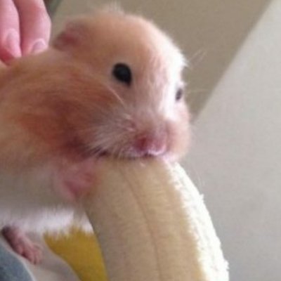 fuck this placeさんのプロフィール画像