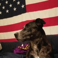 Modesta Champlin (@mchamplin36205) 's Twitter Profile