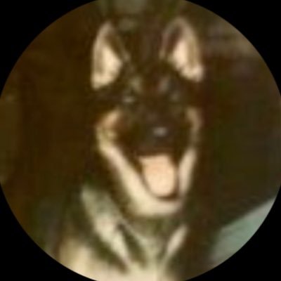 wilsonee's profile picture. Conservative who loves dogs and freedom in that order! #2A.. No DMs please! Lists = blocked!