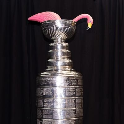 VGKFlamingo Profile Picture